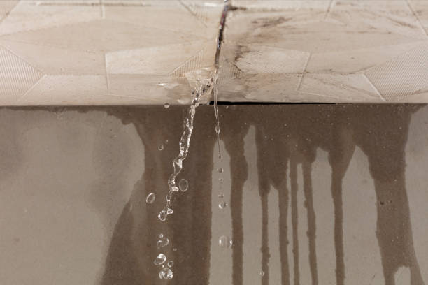 Professional Sewage Cleanup technician working in Shirley, IN